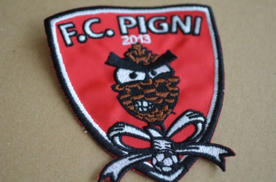 F.C. Pigni 2013